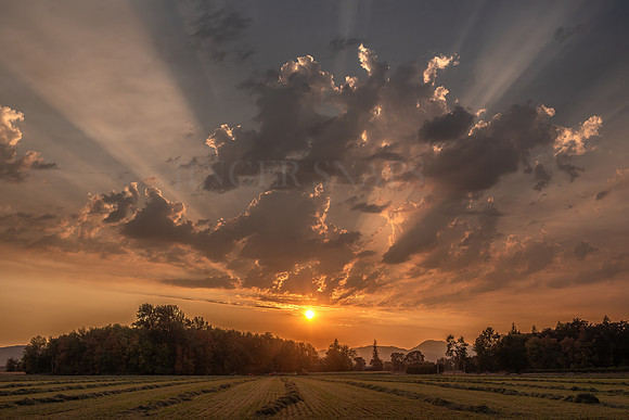 Corvallis Sunset