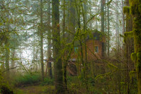 The Treehouse