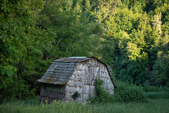 Forgotten Shack