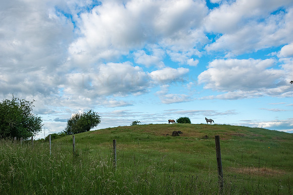 Horse Hill