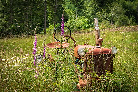 Beauty and Rust