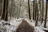 Dusted Trail