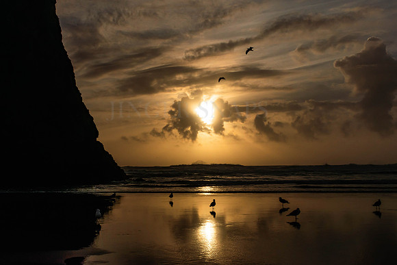 The Burnt Sea