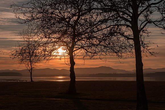 Salmon Sunset
