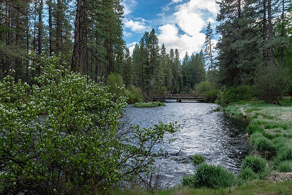 Spring River