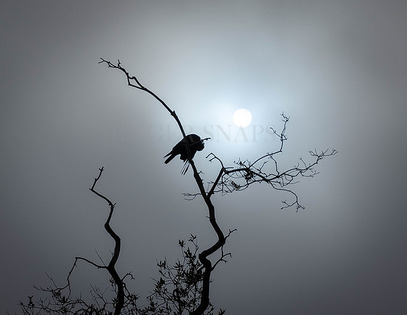 Mourning