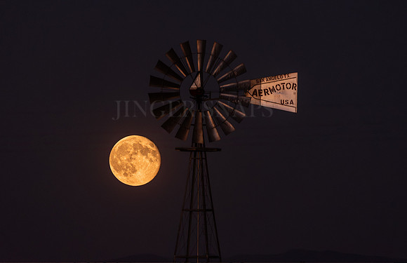 Full Moon Rising