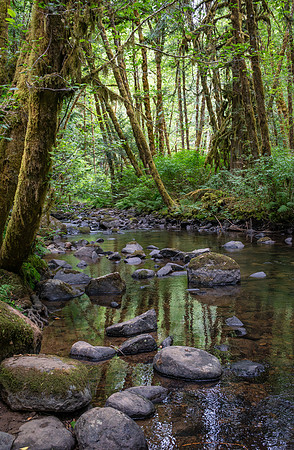 Alsea Creek