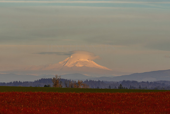 Autumn under Mount Hood