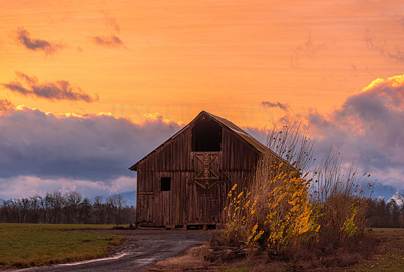 Weathered Barn in the Sunset