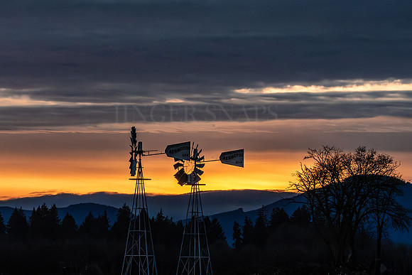 Evening Windmills