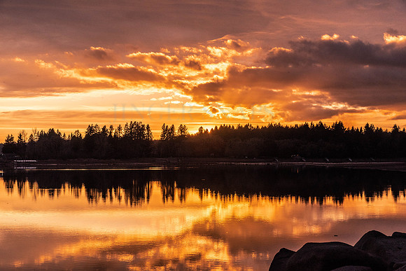 Golden Sunset at Fern Ridge
