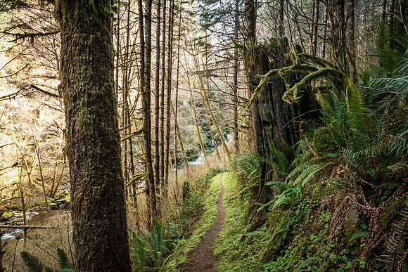 Secret Trail