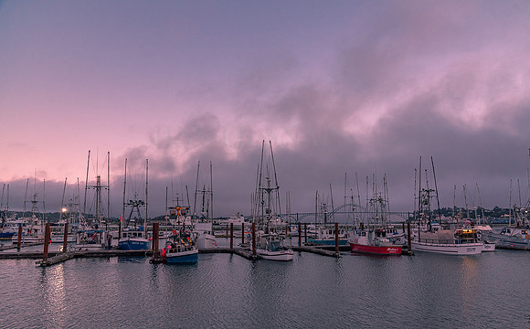 Newport Harbor